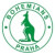 Bohemians Praha 1905