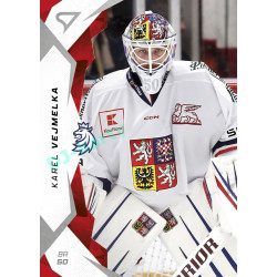 2025 Sportzoo Hokejové ČESKO #07 Karel Vejmelka