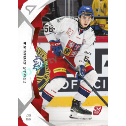 2025 Sportzoo Hokejové ČESKO #09 Tomáš Cibulka