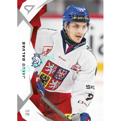 2025 Sportzoo Hokejové ČESKO #10 Jakub Galvas