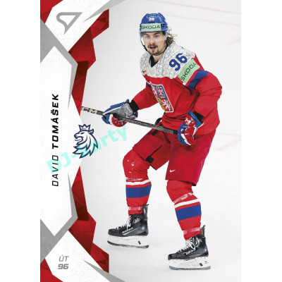 2025 Sportzoo Hokejové ČESKO #59 David Tomášek