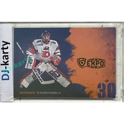 2024/25 Maxa Liga EXPO #ASGT-11 David Honzík Goalie Team Signature (bez podpisu) 1of5