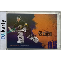 2024/25 Maxa Liga EXPO #ASGT-23 Vladislav Habal Goalie Team Signature (bez podpisu) 1of5