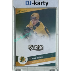 2024/25 Maxa Liga EXPO #VS-12 Adam Srdínko 30 let od finále Signature (bez podpisu) 1of5