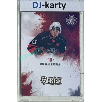 2024/25 Maxa Liga EXPO #S-SL3 Michael Gaspar Signatures (bez podpisu) 1of5