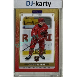 2024/25 Maxa Liga EXPO #PRO-29 Adam Studený Expo Gold 1of4