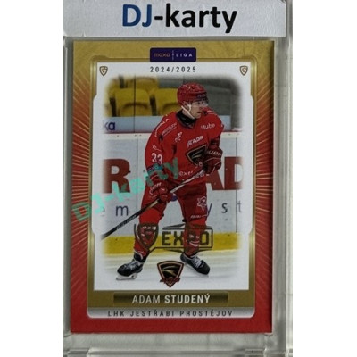 2024/25 Maxa Liga EXPO #PRO-29 Adam Studený Expo Gold 1of4