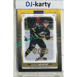 2024/25 Maxa Liga EXPO #SOK-32 David Novotný Expo Gold 1of4