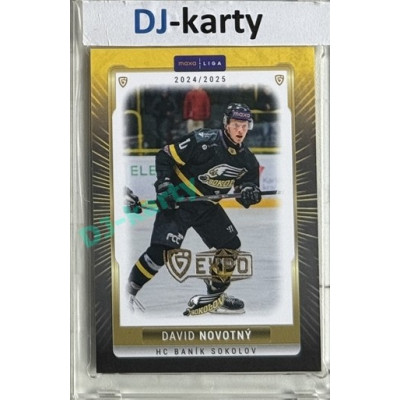 2024/25 Maxa Liga EXPO #SOK-32 David Novotný Expo Gold 1of4