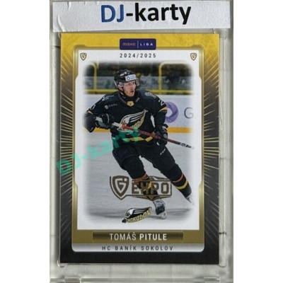 2024/25 Maxa Liga EXPO #SOK-31 Tomáš Pitule Expo Gold 1of4