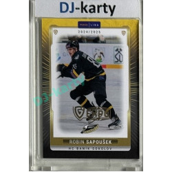 2024/25 Maxa Liga EXPO #SOK-33 Robin Sapoušek Expo Gold 1of4