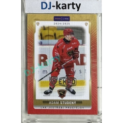 2024/25 Maxa Liga EXPO #PRO-29 Adam Studený Expo Silver 1of4