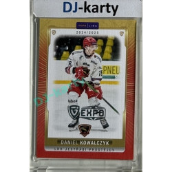 2024/25 Maxa Liga EXPO #PRO-27 Daniel Kowalczyk Expo Silver 1of4