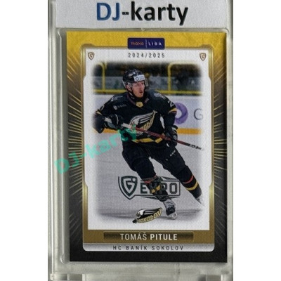 2024/25 Maxa Liga EXPO #SOK-31 Tomáš Pitule Expo Silver 1of4