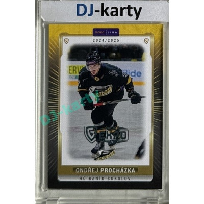2024/25 Maxa Liga EXPO #SOK-37 Ondřej Procházka Expo Silver 1of4