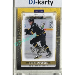 2024/25 Maxa Liga EXPO #SOK-33 Robin Sapoušek Expo Silver 1of4