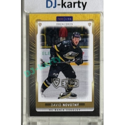 2024/25 Maxa Liga EXPO #SOK-32 David Novotný Expo Silver 1of4