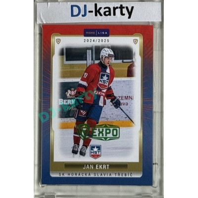 2024/25 Maxa Liga EXPO #TRE-28 Jan Ekrt Expo Green 1of2