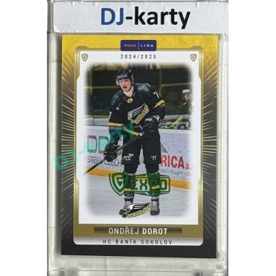 2024/25 Maxa Liga EXPO #SOK-29 Ondřej Dorot Expo Green 1of2