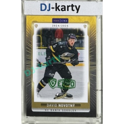 2024/25 Maxa Liga EXPO #SOK-32 David Novotný Expo Green 1of2