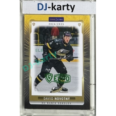 2024/25 Maxa Liga EXPO #SOK-32 David Novotný Expo Green 1of2