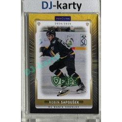 2024/25 Maxa Liga EXPO #SOK-33 Robin Sapoušek Expo Green 1of2