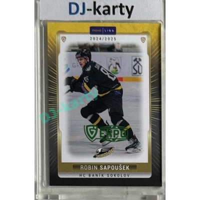 2024/25 Maxa Liga EXPO #SOK-33 Robin Sapoušek Expo Green 1of2