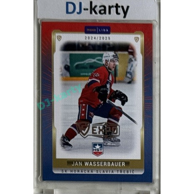 2024/25 Maxa Liga EXPO #TRE-27 Jan Wasserbauer Expo Silver 1of4