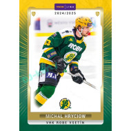 2024/25 Maxa Liga Update #VSE-29 Michal Hryciow Canvas Parallel 1of40