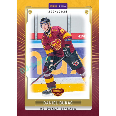2024/25 Maxa Liga Update #JIH-23 Daniel Bukač Canvas Parallel 1of40