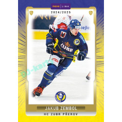 2024/25 Maxa Liga Update #PRE-34 Jakub Zembol Canvas Parallel 1of40