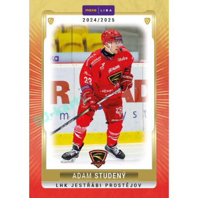 2024/25 Maxa Liga Update #PRO-29 Adam Studený Sand Parallel 1of15