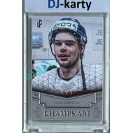 2024/25 LC Repre serie 1 #CHA-04 David Špaček Champs Art Clear Frame Platinum xx/21