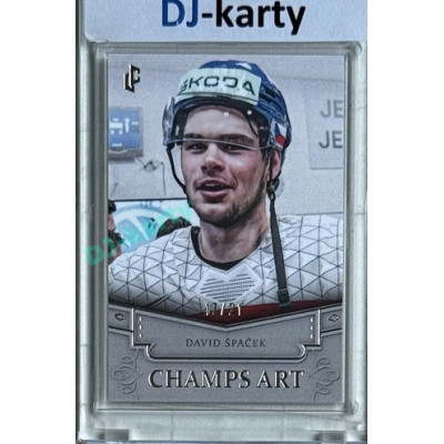 2024/25 LC Repre serie 1 #CHA-04 David Špaček Champs Art Clear Frame Platinum xx/21