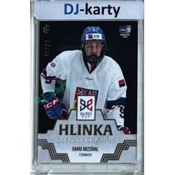 2024/25 LC Repre serie 1 #HGC-09 David Rozsíval Hlinka Gretzky Cup 2024 Platinum xx/22