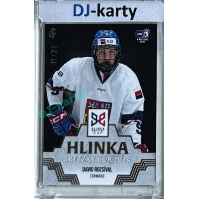 2024/25 LC Repre serie 1 #HGC-09 David Rozsíval Hlinka Gretzky Cup 2024 Platinum xx/22
