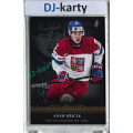 World Junior Championship 2025 Canada Platinum xx/22