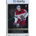2024/25 LC Repre serie 1 #WJC-05 Vojtěch Husinecký World Junior Championship 2025 Canada Platinum xx/22