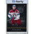 2024/25 LC Repre serie 1 #WJC-18 Vojtěch Hradec World Junior Championship 2025 Canada Platinum xx/22