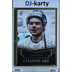 2024/25 LC Repre serie 1 #CHA-04 David Špaček Champs Art Gold Frame Black 1of1