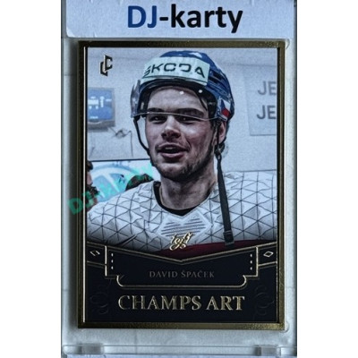 2024/25 LC Repre serie 1 #CHA-04 David Špaček Champs Art Gold Frame Black 1of1