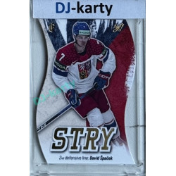 2024/25 LC Repre serie 1 #CH-D-2B David Špaček Chemistry Gold 1of1