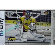 2013/14 OFS #SA07 Jakub Sedláček Saves