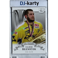 2014/15 OFS #CW-07 Dalibor Řezníček Cup Winners xxx/249