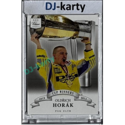 2014/15 OFS #CW-08 Oldřich Horák Cup Winners Team Edition