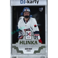 2024/25 LC Repre serie 1 #HGC-15 David Hrubý Hlinka Gretzky Cup 2024 Platinum xx/22