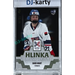 2024/25 LC Repre serie 1 #HGC-15 David Hrubý Hlinka Gretzky Cup 2024 Platinum xx/22
