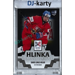 2024/25 LC Repre serie 1 #HGC-04 David Lucas Holub Hlinka Gretzky Cup 2024 Platinum xx/22