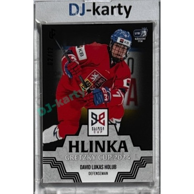 2024/25 LC Repre serie 1 #HGC-04 David Lukac Holub Hlinka Gretzky Cup 2024 Red 01/12