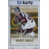 2015/16 OFS #041 Robert Sabolič Hobby /99